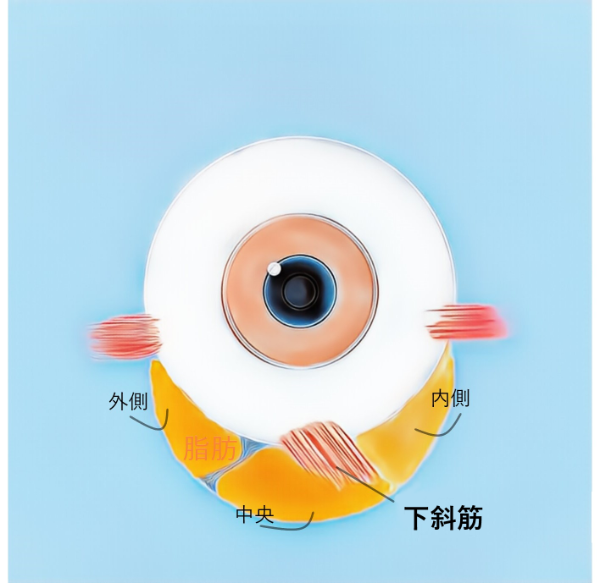 %25EB%258B%25A4%25EC%259A%25B4%25EB%25A1%259C%25EB%2593%259C%2B%25282%2529.png